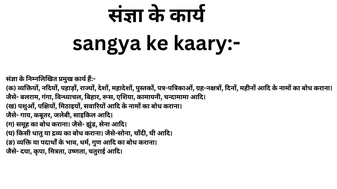 sangya kise kahate hain in hindi